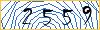 Type the numbers that you see in the picture