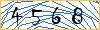 Type the numbers that you see in the picture