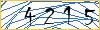 Type the numbers that you see in the picture