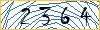 Type the numbers that you see in the picture
