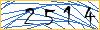 Type the numbers that you see in the picture