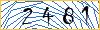 Type the numbers that you see in the picture