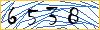 Type the numbers that you see in the picture