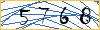 Type the numbers that you see in the picture