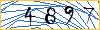 Type the numbers that you see in the picture