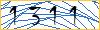 Type the numbers that you see in the picture