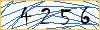 Type the numbers that you see in the picture