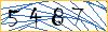 Type the numbers that you see in the picture