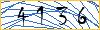 Type the numbers that you see in the picture