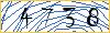 Type the numbers that you see in the picture