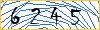 Type the numbers that you see in the picture