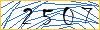 Type the numbers that you see in the picture