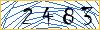 Type the numbers that you see in the picture