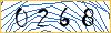 Type the numbers that you see in the picture