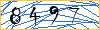 Type the numbers that you see in the picture