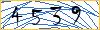 Type the numbers that you see in the picture