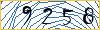 Type the numbers that you see in the picture