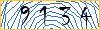 Type the numbers that you see in the picture