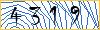Type the numbers that you see in the picture