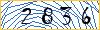Type the numbers that you see in the picture