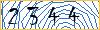Type the numbers that you see in the picture