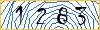 Type the numbers that you see in the picture