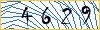 Type the numbers that you see in the picture