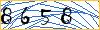 Type the numbers that you see in the picture
