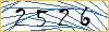 Type the numbers that you see in the picture