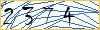 Type the numbers that you see in the picture