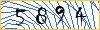 Type the numbers that you see in the picture