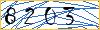 Type the numbers that you see in the picture