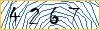 Type the numbers that you see in the picture