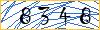 Type the numbers that you see in the picture