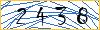 Type the numbers that you see in the picture