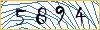 Type the numbers that you see in the picture