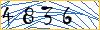 Type the numbers that you see in the picture