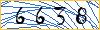 Type the numbers that you see in the picture