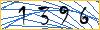 Type the numbers that you see in the picture