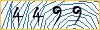 Type the numbers that you see in the picture