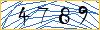 Type the numbers that you see in the picture