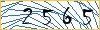 Type the numbers that you see in the picture