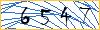 Type the numbers that you see in the picture