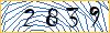 Type the numbers that you see in the picture