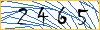 Type the numbers that you see in the picture
