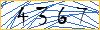 Type the numbers that you see in the picture