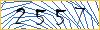Type the numbers that you see in the picture