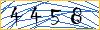 Type the numbers that you see in the picture