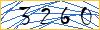 Type the numbers that you see in the picture