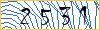 Type the numbers that you see in the picture
